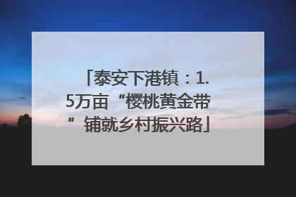 泰安下港镇：1.5万亩“樱桃黄金带”铺就乡村振兴路