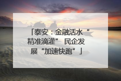 泰安：金融活水“精准滴灌” 民企发展“加速快跑”