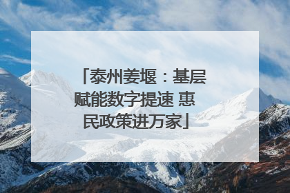 泰州姜堰：基层赋能数字提速 惠民政策进万家