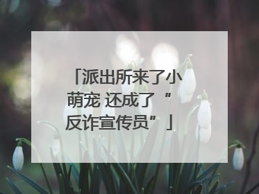派出所来了小萌宠 还成了“反诈宣传员”