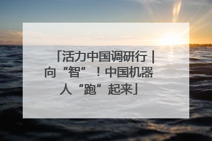 活力中国调研行｜向“智”！中国机器人“跑”起来