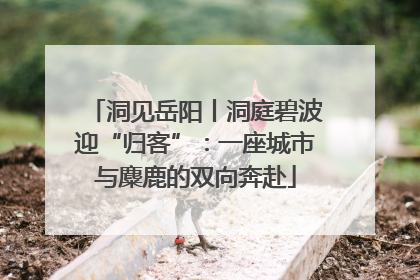 洞见岳阳丨洞庭碧波迎“归客”：一座城市与麋鹿的双向奔赴