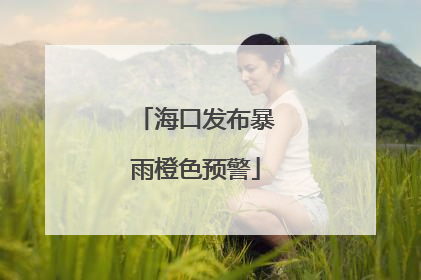 海口发布暴雨橙色预警
