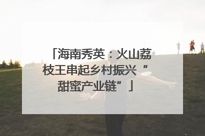 海南秀英：火山荔枝王串起乡村振兴“甜蜜产业链”