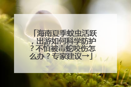 海南夏季蚊虫活跃，出游如何科学防护？不慎被毒蛇咬伤怎么办？专家建议→
