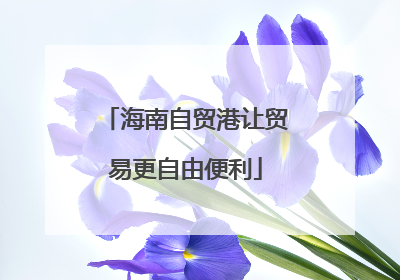 海南自贸港让贸易更自由便利
