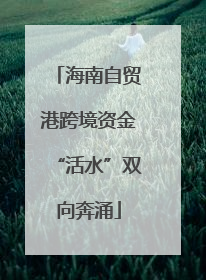 海南自贸港跨境资金“活水”双向奔涌