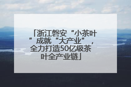浙江磐安“小茶叶”成就“大产业”，全力打造50亿级茶叶全产业链