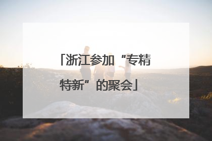 浙江参加“专精特新”的聚会