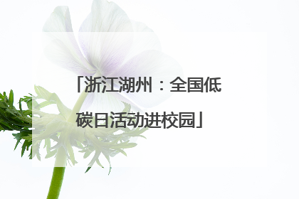 浙江湖州：全国低碳日活动进校园