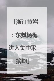 浙江黄岩：东魁杨梅进入集中采摘期