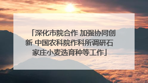 深化市院合作 加强协同创新 中国农科院作科所调研石家庄小麦选育种等工作