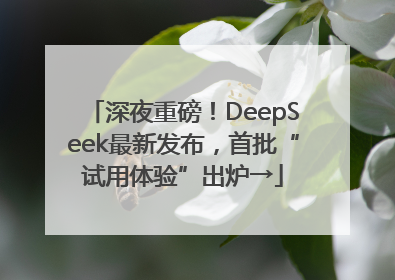 深夜重磅！DeepSeek最新发布，首批“试用体验”出炉→
