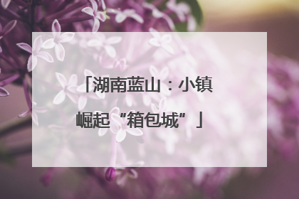 湖南蓝山：小镇崛起“箱包城”