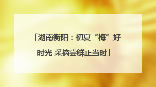湖南衡阳：初夏“梅”好时光 采摘尝鲜正当时