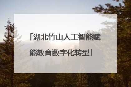 湖北竹山人工智能赋能教育数字化转型