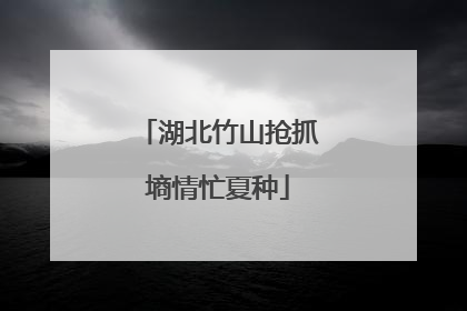 湖北竹山抢抓墒情忙夏种