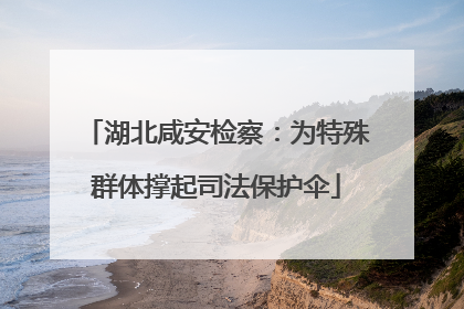 湖北咸安检察：为特殊群体撑起司法保护伞