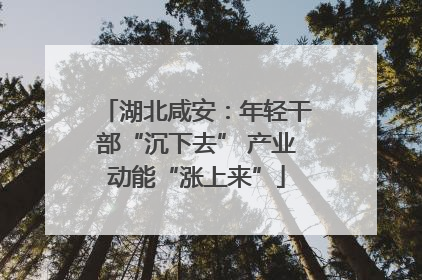 湖北咸安：年轻干部“沉下去” 产业动能“涨上来”