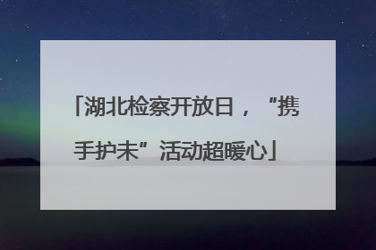 湖北检察开放日，“携手护未”活动超暖心