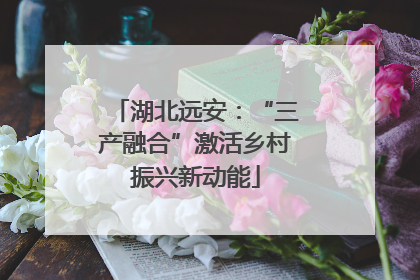 湖北远安：“三产融合”激活乡村振兴新动能