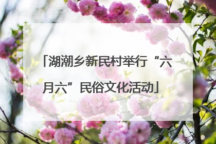 湖潮乡新民村举行“六月六”民俗文化活动