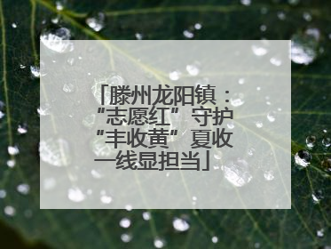 滕州龙阳镇：“志愿红”守护“丰收黄”夏收一线显担当