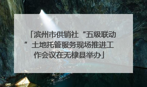 滨州市供销社“五级联动”土地托管服务现场推进工作会议在无棣县举办