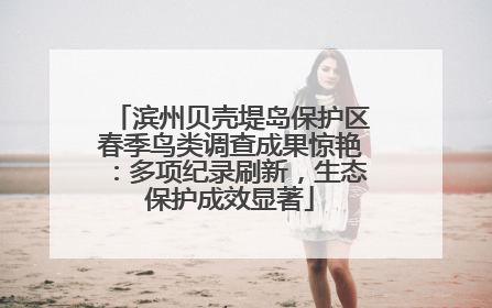滨州贝壳堤岛保护区春季鸟类调查成果惊艳：多项纪录刷新，生态保护成效显著
