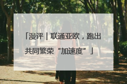 漫评｜联通亚欧，跑出共同繁荣“加速度”