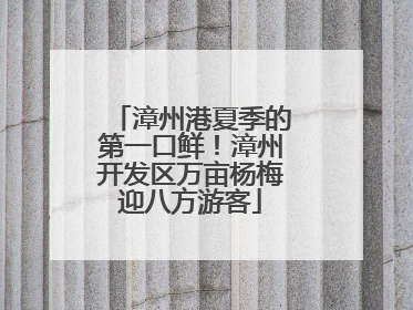 漳州港夏季的第一口鲜！漳州开发区万亩杨梅迎八方游客