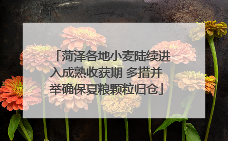 菏泽各地小麦陆续进入成熟收获期 多措并举确保夏粮颗粒归仓