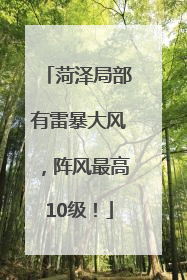 菏泽局部有雷暴大风，阵风最高10级！