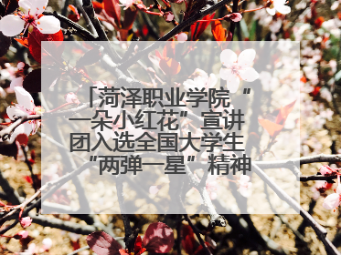 菏泽职业学院“一朵小红花”宣讲团入选全国大学生“两弹一星”精神宣讲团