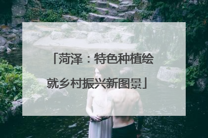 菏泽：特色种植绘就乡村振兴新图景