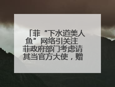 菲“下水道美人鱼”网络引关注 菲政府部门考虑请其当官方大使，赠现金开店