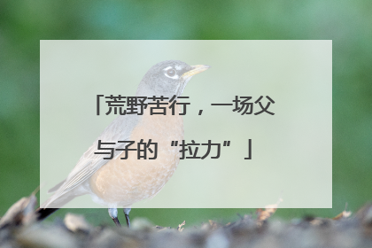 荒野苦行，一场父与子的“拉力”