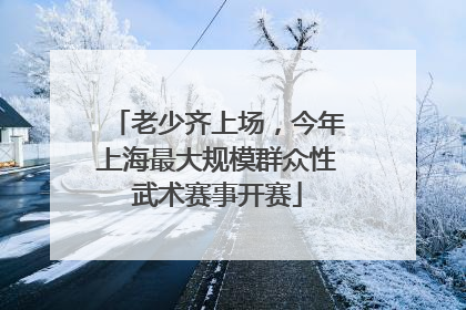 老少齐上场，今年上海最大规模群众性武术赛事开赛