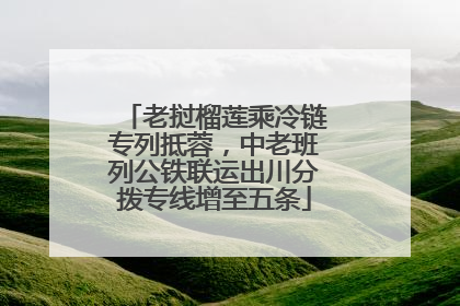 老挝榴莲乘冷链专列抵蓉，中老班列公铁联运出川分拨专线增至五条