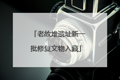 老故堆遗址新一批修复文物入藏