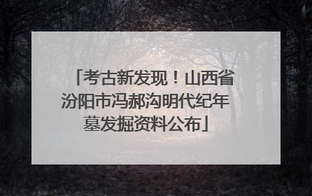 考古新发现！山西省汾阳市冯郝沟明代纪年墓发掘资料公布