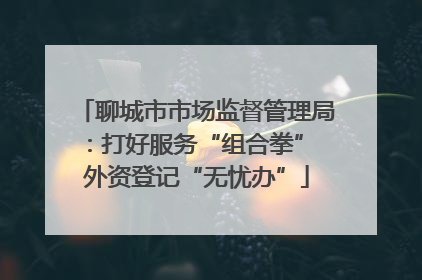 聊城市市场监督管理局：打好服务“组合拳” 外资登记“无忧办”