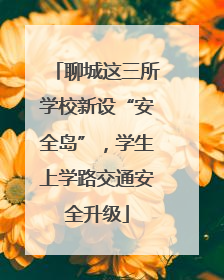 聊城这三所学校新设“安全岛”，学生上学路交通安全升级