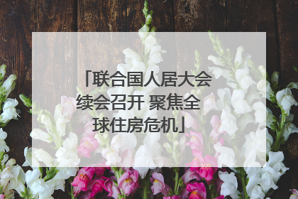 联合国人居大会续会召开 聚焦全球住房危机