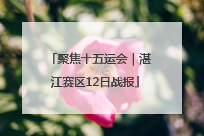 聚焦十五运会｜湛江赛区12日战报