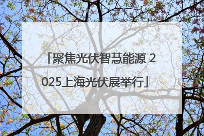 聚焦光伏智慧能源 2025上海光伏展举行