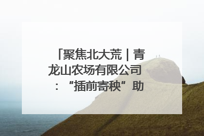 聚焦北大荒｜青龙山农场有限公司：“插前寄秧”助力农业节本增效