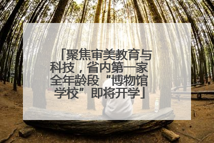 聚焦审美教育与科技，省内第一家全年龄段“博物馆学校”即将开学