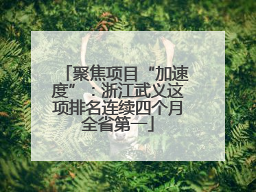 聚焦项目“加速度”：浙江武义这项排名连续四个月全省第一