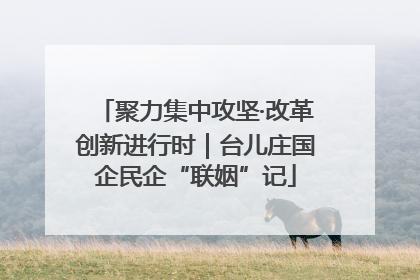 聚力集中攻坚·改革创新进行时｜台儿庄国企民企“联姻”记